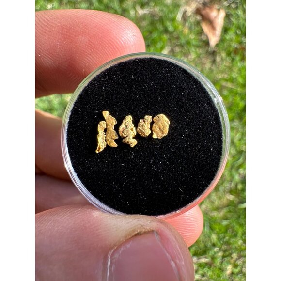 California Gold Nuggets in Display Case - 0.23 grams - Picture 6 of 6
